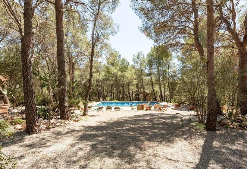 Номер Стандарт Вид на Сад, Aldeamia, Forest, Mountain View, Beach At 8 Min