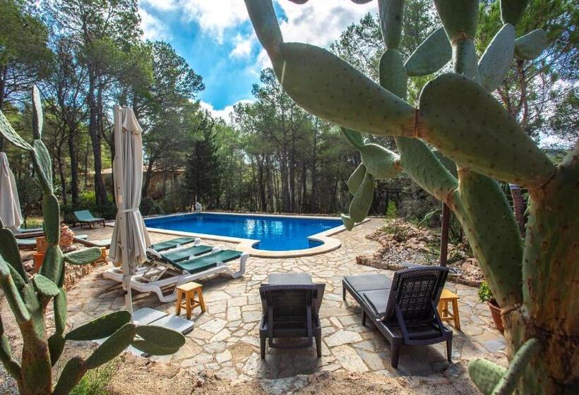 Вилла Deluxe 1 Спальня, Aldeamia, Forest, Mountain View, Beach At 8 Min