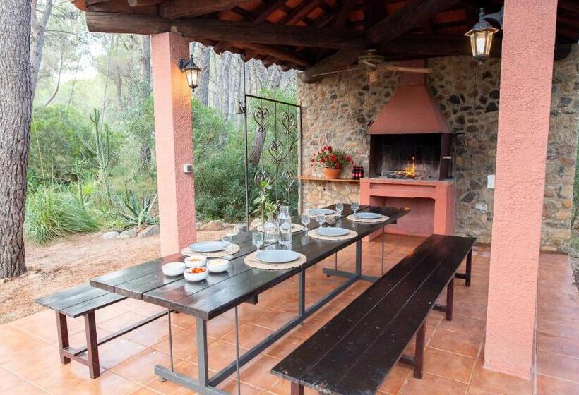 Номер Стандарт Трехместный, Aldeamia, Forest, Mountain View, Beach At 8 Min