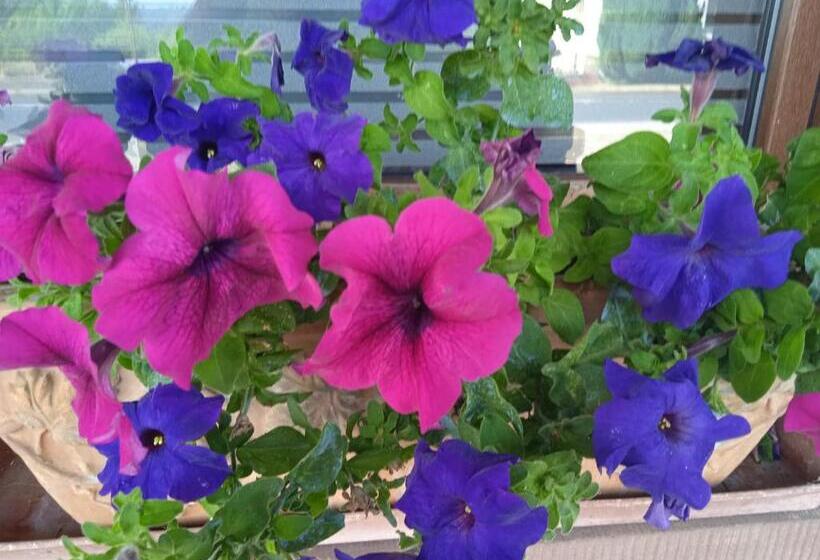 חדר קלאסי לשלושה, La Maison De Heidi