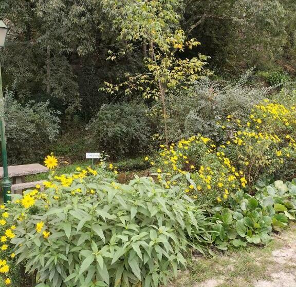 Дом 1 Спальня, Casa Novelhos