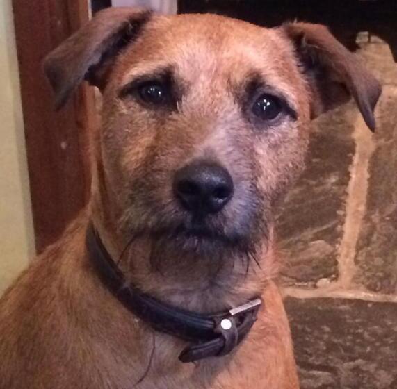 Номер Deluxe Кровать Кинг, Luxurious, Fabulous, Fun, Contemporary Suite In Retreat Centre