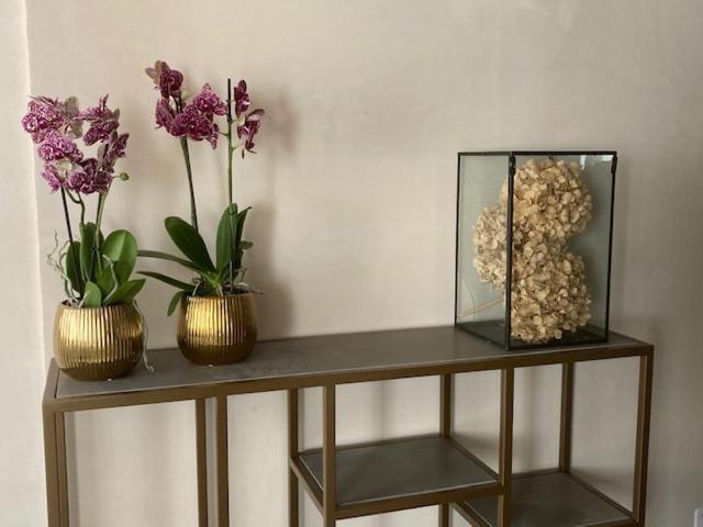 带大床的豪华间, Palazzetto Dieda