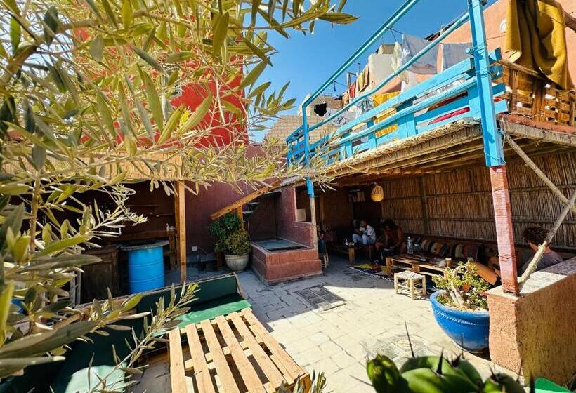 스탠다드 룸, Chiwash Place Taghazout