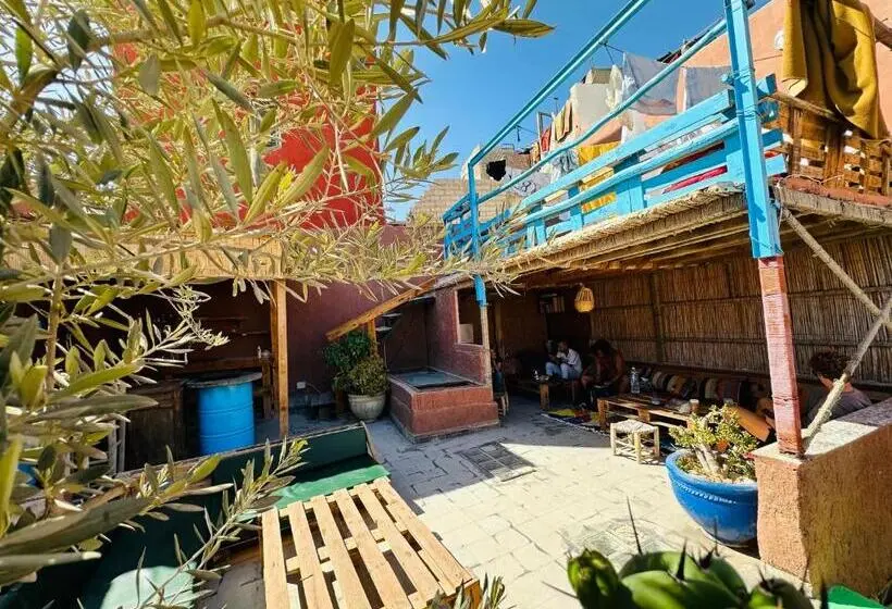 ルームシェアのワンベッド, Chiwash Place Taghazout