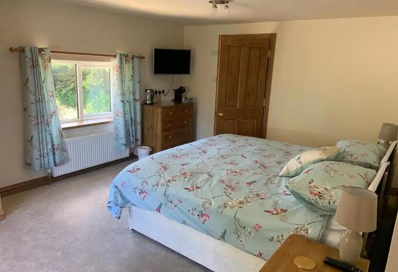 デラックスルーム, Slerra Hill Bed And Breakfast, Clovelly