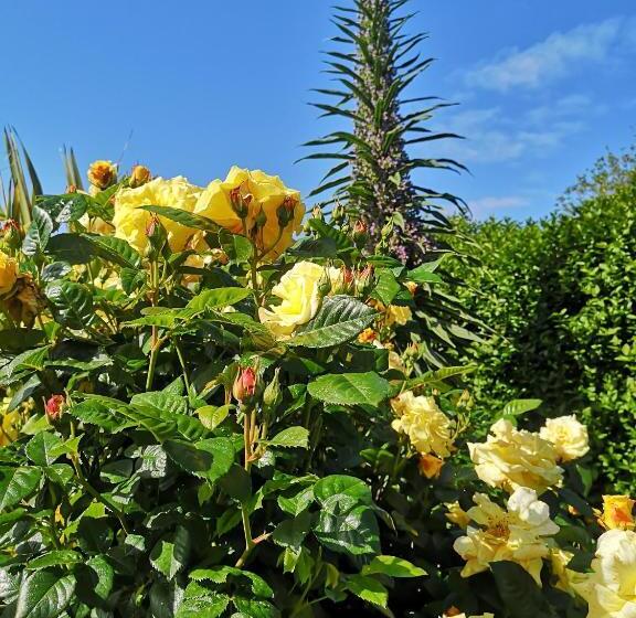 标准房带园景, Chambre Dans Maison Fleurie Et Calme