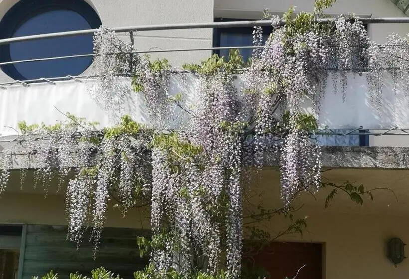 ガーデンビュースタンダードルーム, Chambre Dans Maison Fleurie Et Calme
