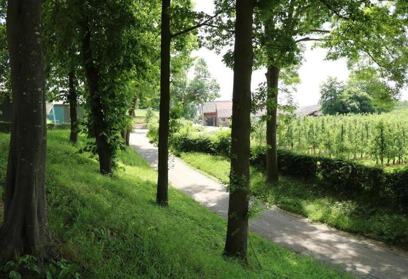 חדר סטנדרט, Luxe B&b Vroelen Noorbeek