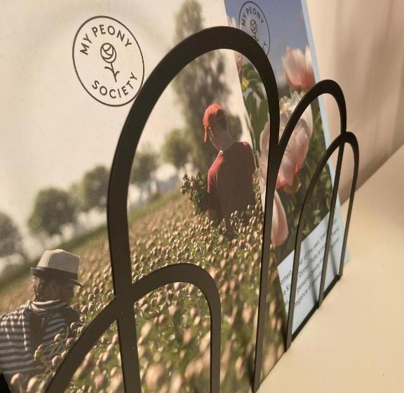 غرفة ديلوكس, Paauwze