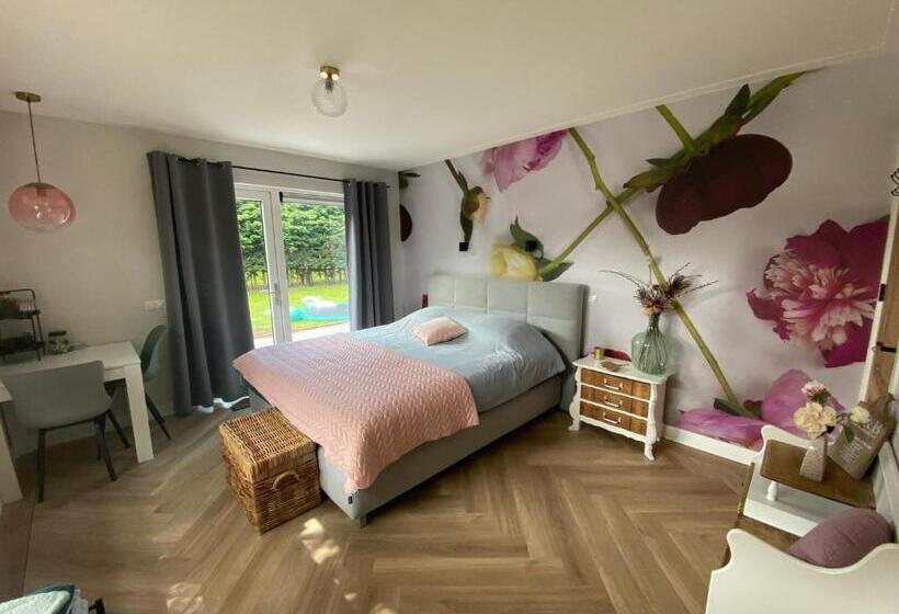 غرفة ديلوكس, Paauwze