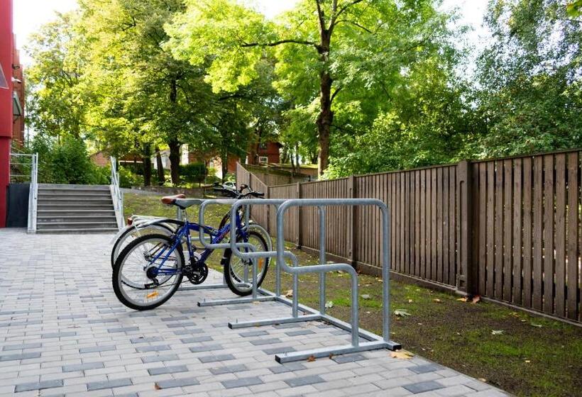 استودیوی استاندارد, Youthments   Student