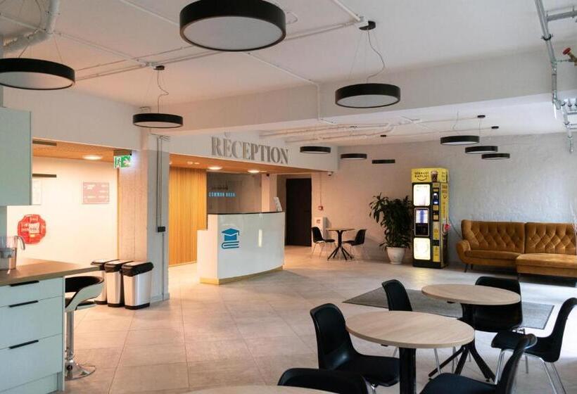 اتاق اکونومی یک تخته, Youthments   Student