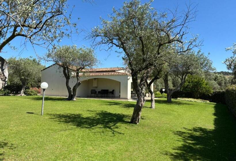 דירת שני חדרים, Rosso Di Sera