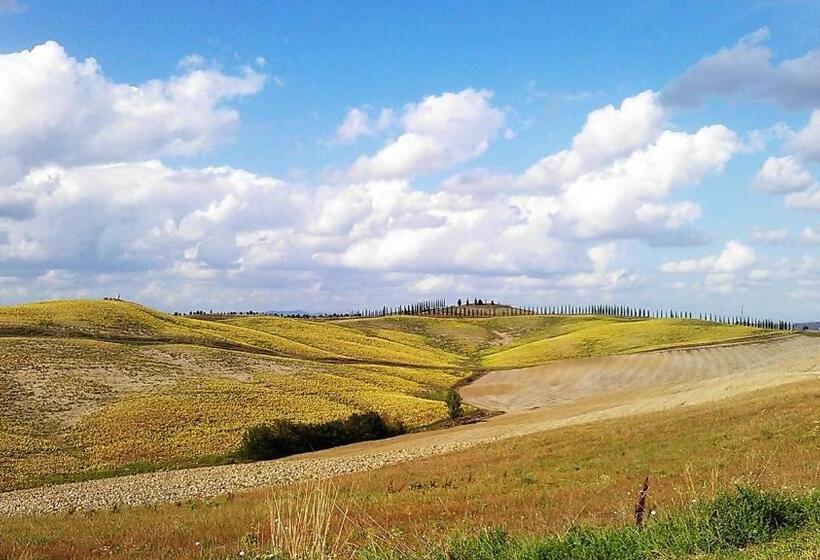 חדר סופריור יחיד, 1000 Miglia