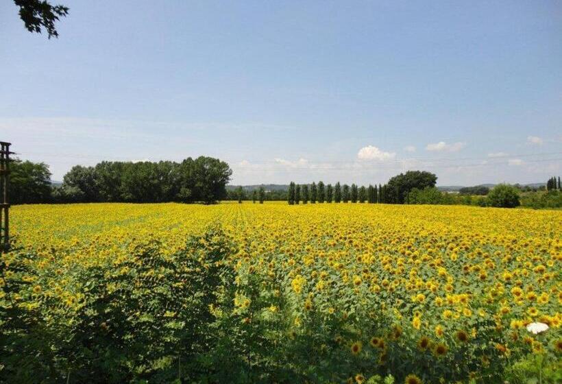 חדר סטנדרט לשלושה, 1000 Miglia