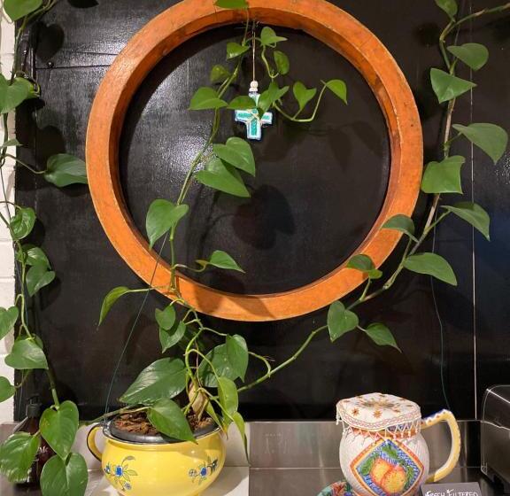 スタンダードルーム, The Studio