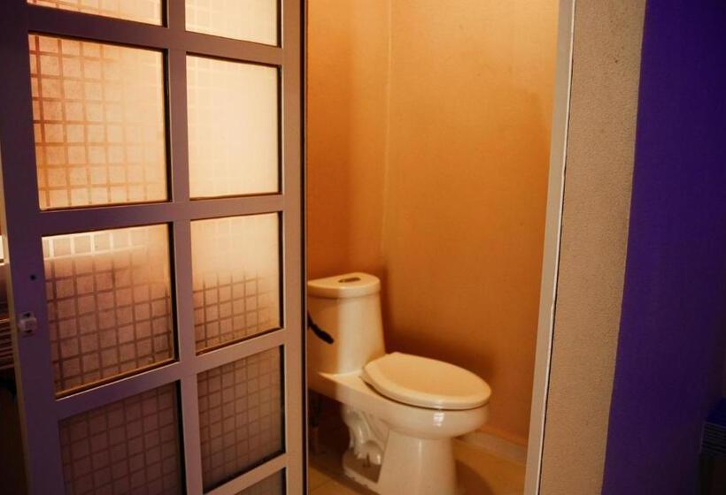 Номер Стандарт, Oasis