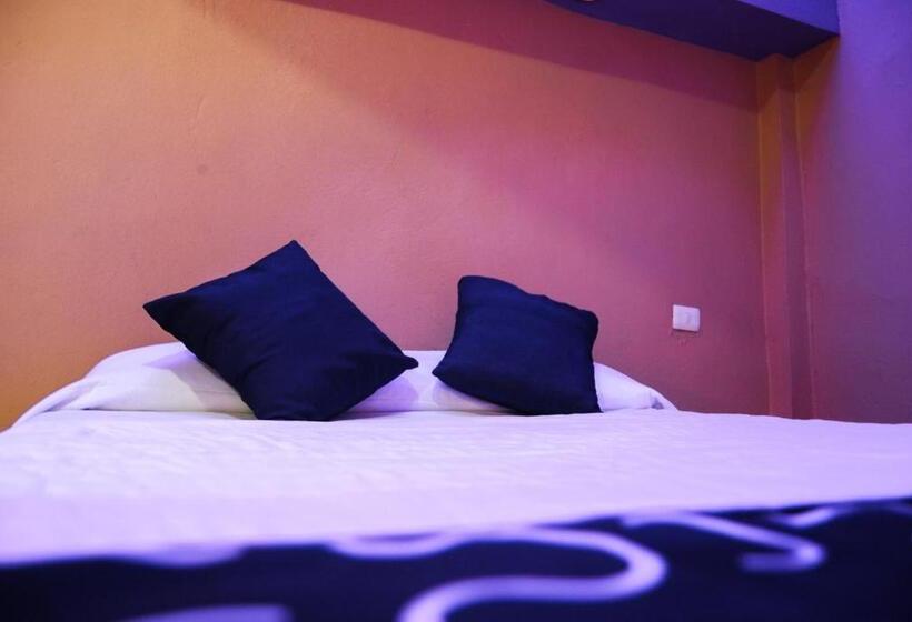 Номер Стандарт, Oasis