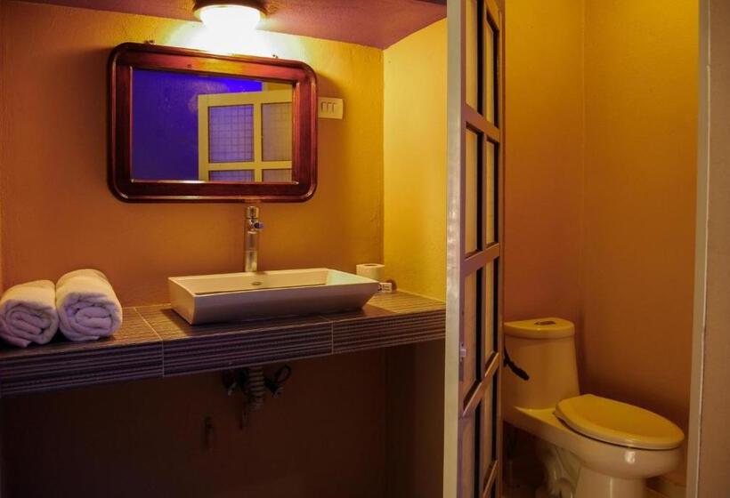 Номер Стандарт, Oasis