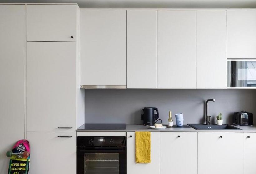 דירת פנטהאוז 1 חדרי שינה, Bob W City Centre