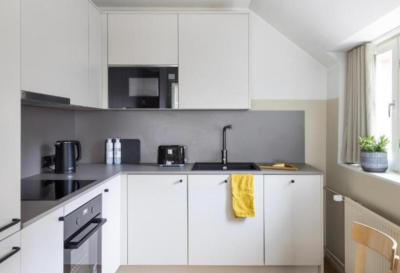 דירת פנטהאוז 2 חדרי שינה, Bob W City Centre