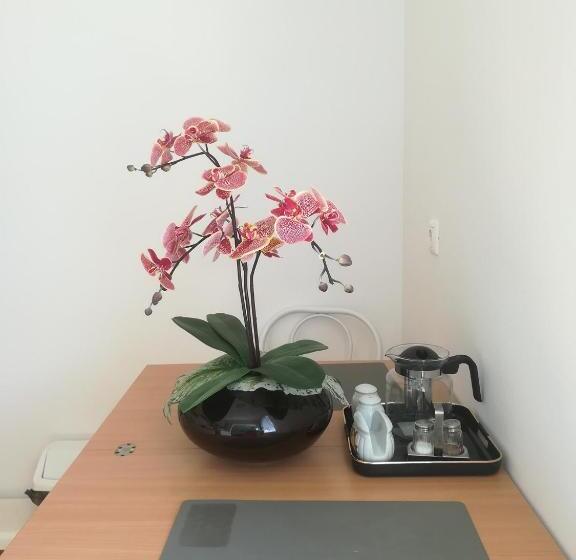 Апартаменты 1 Спальня, Borisz Apartman Zalakaros