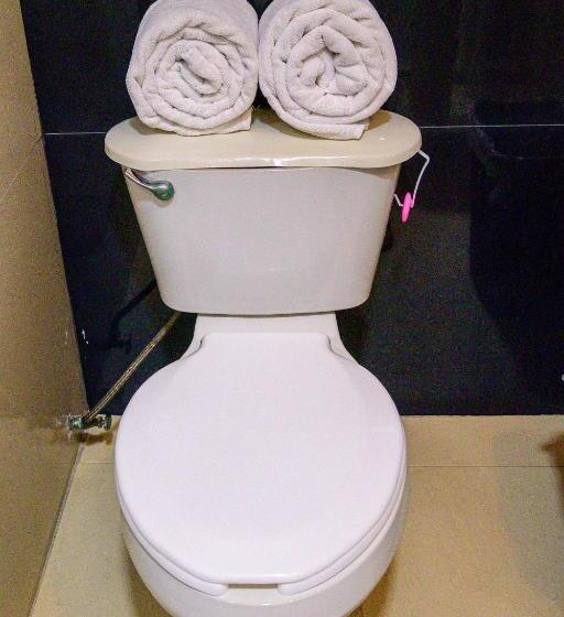 이코노미 룸, Acuario