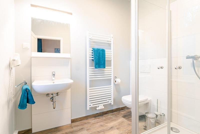 חדר סטנדרט נוף לגינה, Waldidylle Gohrisch, Pension Und Ferienwohnungen