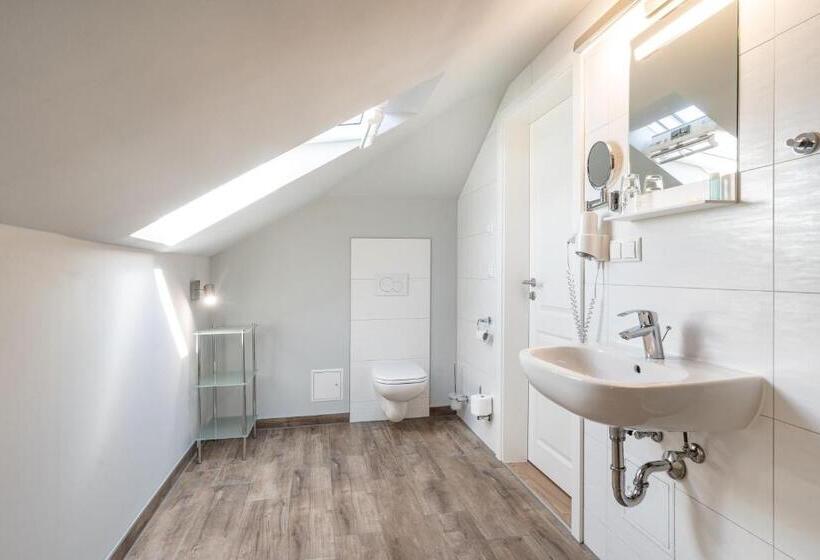 סטודיו סטנדרטי נוף לגינה, Waldidylle Gohrisch, Pension Und Ferienwohnungen