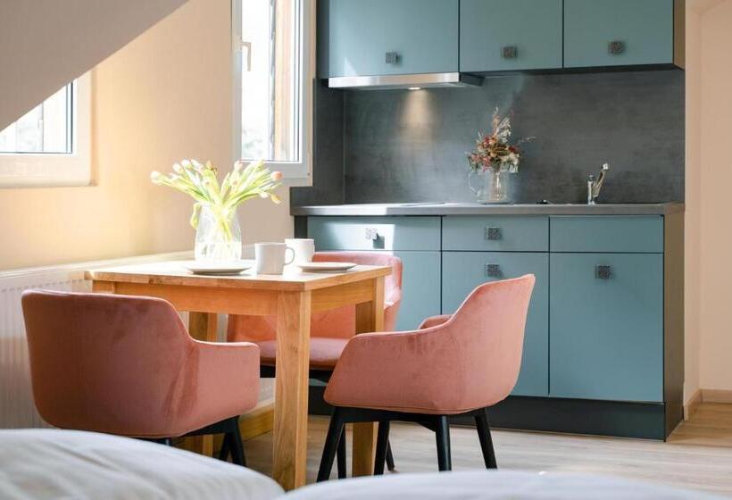 סטודיו סטנדרטי נוף לגינה, Waldidylle Gohrisch, Pension Und Ferienwohnungen