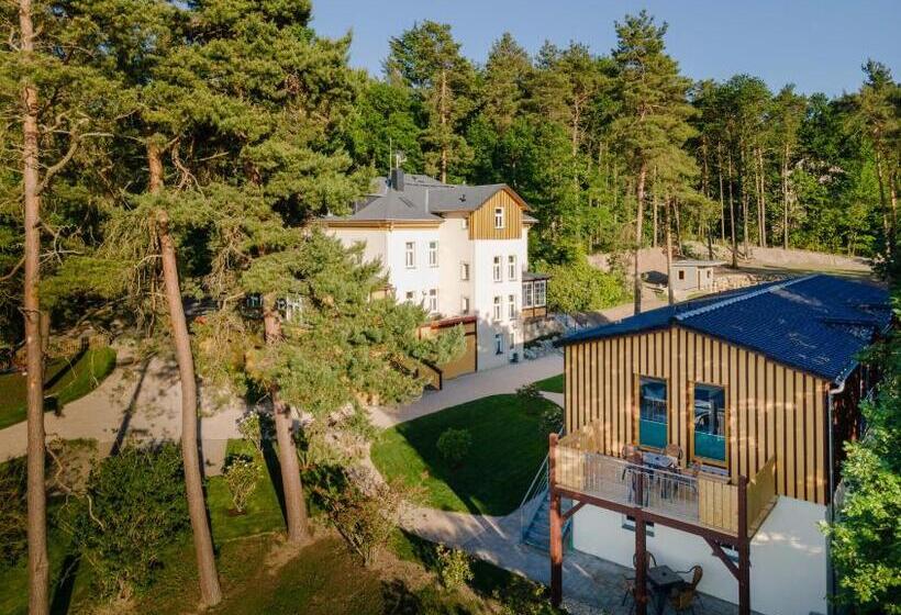 דירת חדר עם טרסה, Waldidylle Gohrisch, Pension Und Ferienwohnungen