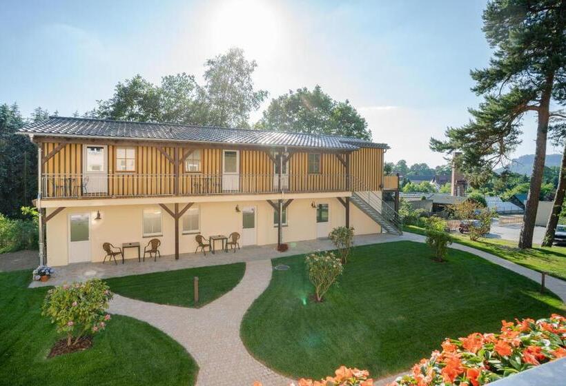 סטודיו סטנדרט עם מרפסת, Waldidylle Gohrisch, Pension Und Ferienwohnungen