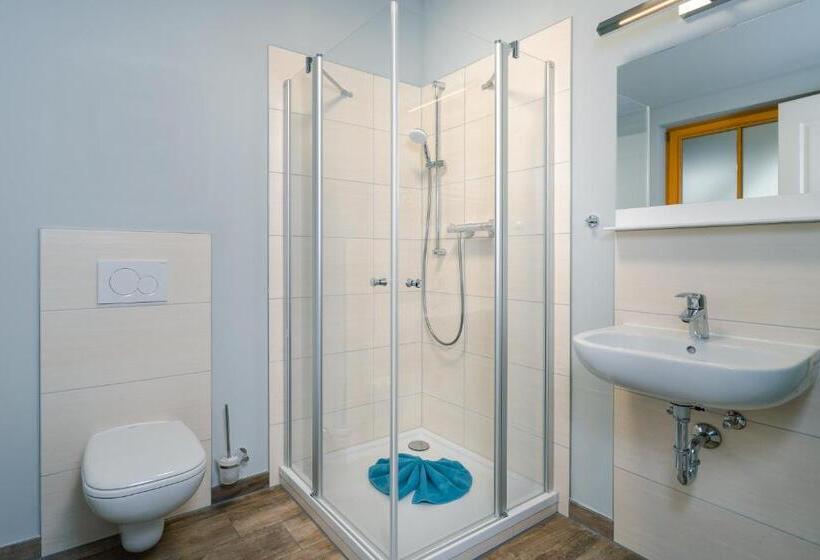 סטודיו סטנדרט עם מרפסת, Waldidylle Gohrisch, Pension Und Ferienwohnungen