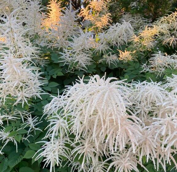 شقة دور أخير غرفة نوم واحدة, Dr åsa Kallfors Järna Bed & Breakfast