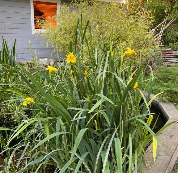 شقة دور أخير غرفة نوم واحدة, Dr åsa Kallfors Järna Bed & Breakfast