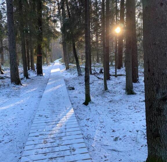 بنجلو قياسى, Dr åsa Kallfors Järna Bed & Breakfast