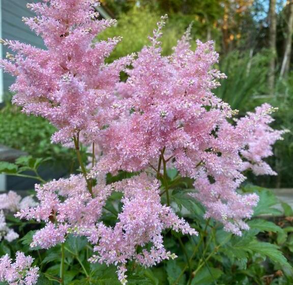 غرفة قياسية فردية, Dr åsa Kallfors Järna Bed & Breakfast