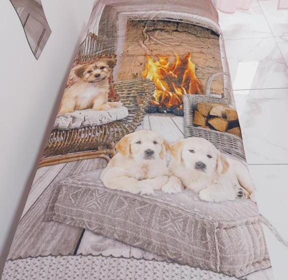 اتاق استاندارد, Camera Matrimoniale Genova Rooms