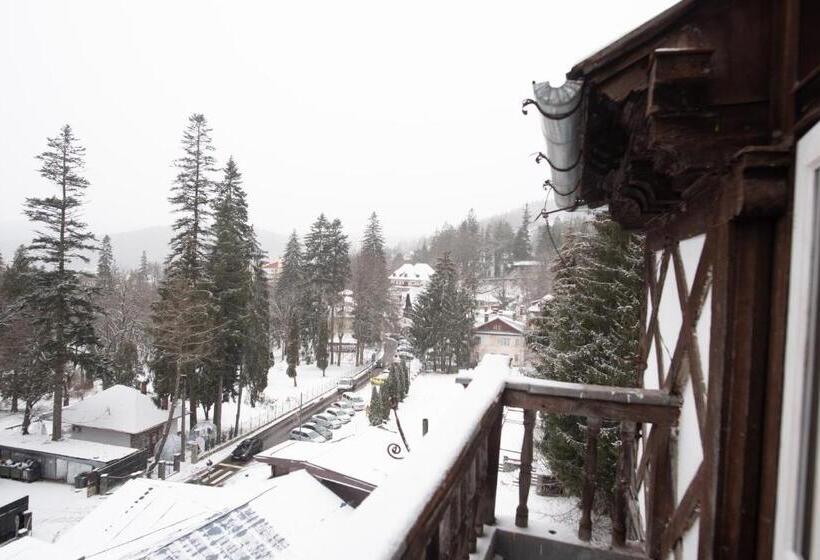 סטודיו סטנדרט עם נוף, Royal Residence 1901