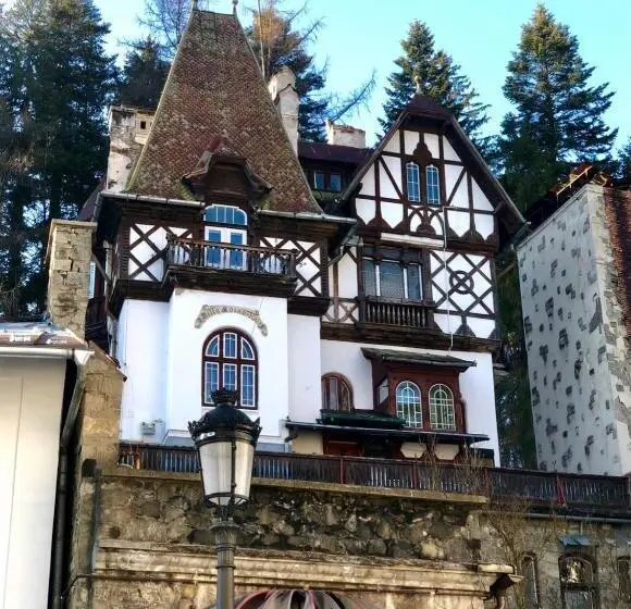 ビュー有りのスタンダードワンルーム, Royal Residence 1901