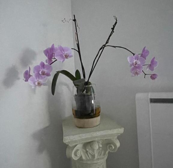 اتاق استاندارد, Quiniere   Entre Lac Et Forêt   Hébergement Indépendant Avec Espace Kitchenette