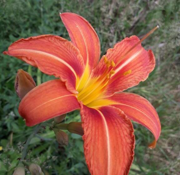 バルコニー付きスタンダードルーム, Duc Manoir Chambres D Hôtes