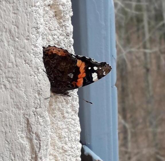 ガーデンビュースタンダードルーム, Duc Manoir Chambres D Hôtes