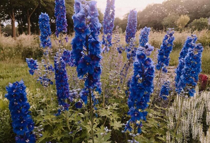 חדר סטנדרט, Boutique B&b Erve Hasselo