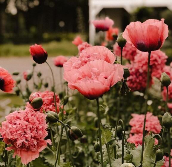 חדר סטנדרט, Boutique B&b Erve Hasselo