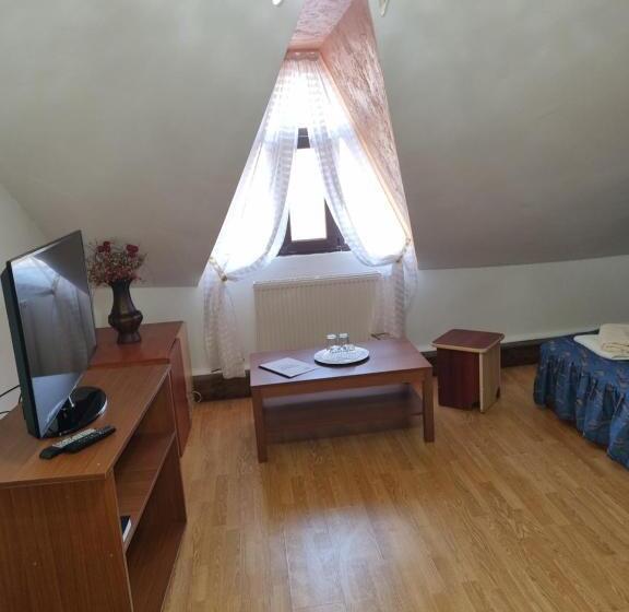 غرفة قياسية, Casa Boiereasca