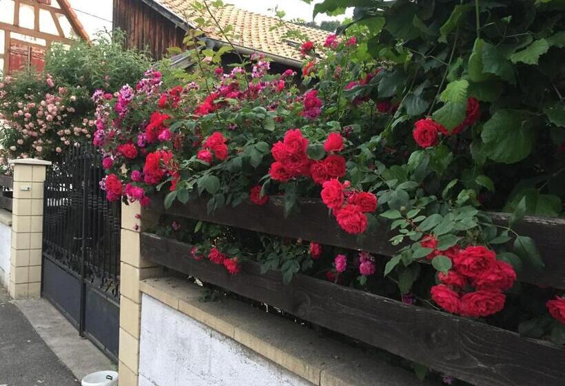 スタンダードルーム, Chambre Spacieuse Dans Joli Village Alsacien