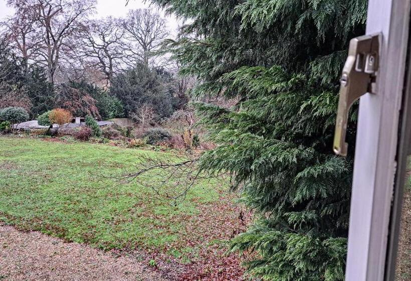 标准房带园景, The Old Vicarage