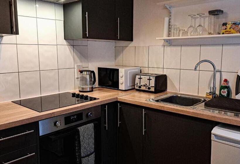 1间卧室的房子, The Old Vicarage